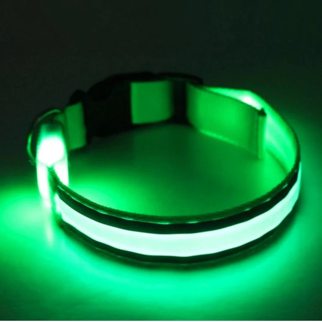 Glow In The Dark Dog Collar