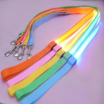 Glow In Dark Dog Leash