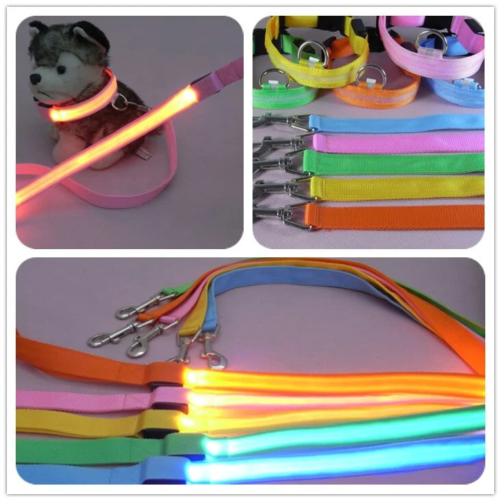 Glow In Dark Dog Leash