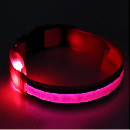 Glow In The Dark Dog Collar