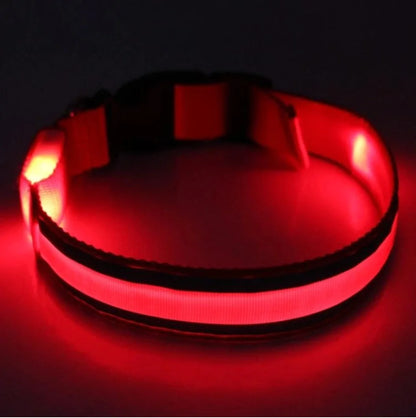 Glow In The Dark Dog Collar